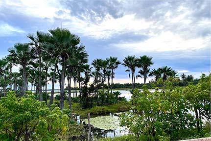 Naturaleza Ilha do Guajiru